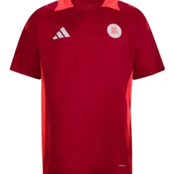 AS Roma T-shirt Allenamento Coach , Rossa, Uomo Best