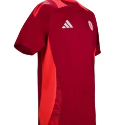 AS Roma T-shirt Allenamento Coach , Rossa, Uomo Best